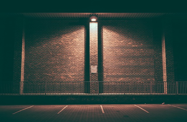 56261682