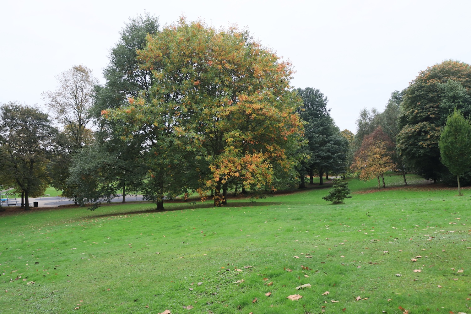 park2