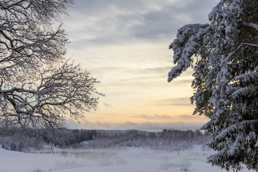 snow2