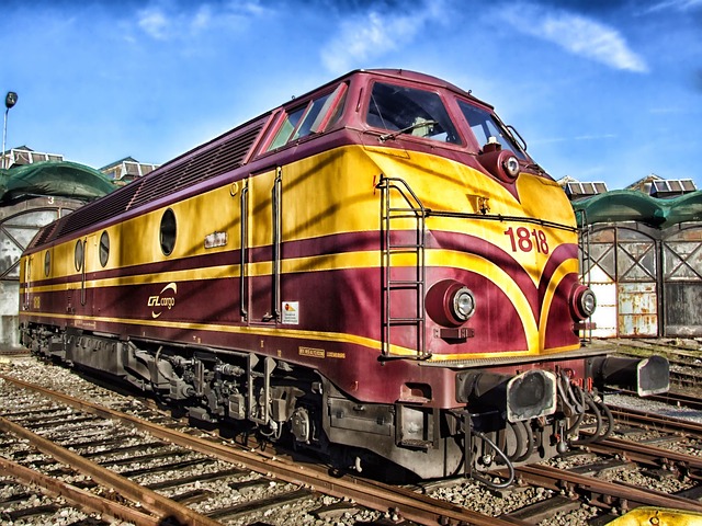 53245981