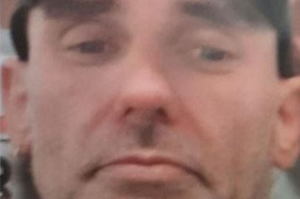 75038295