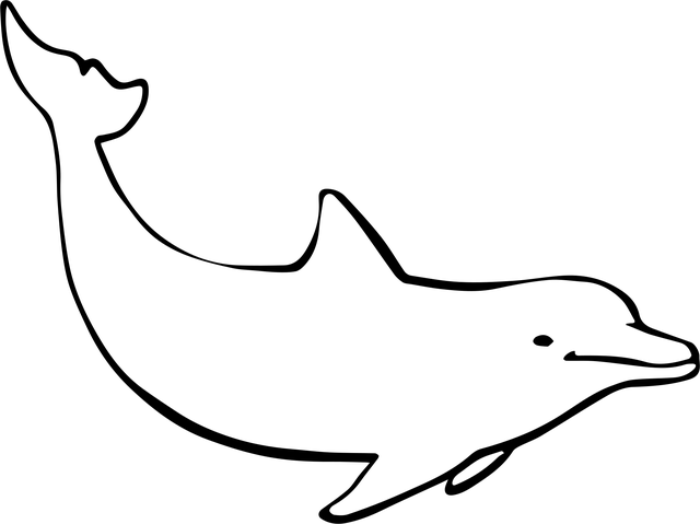 21167004