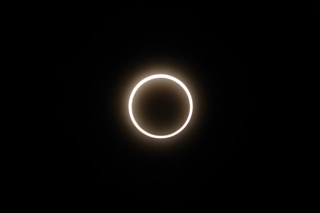 78010882